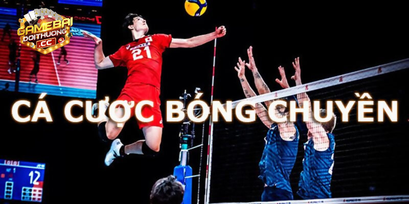 Luật và cách chơi bóng chuyền